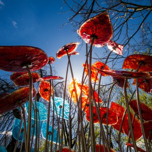 Glass Sculpture